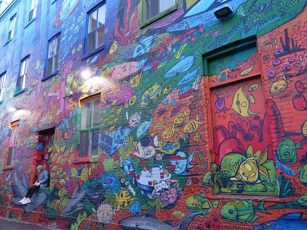 A Toronto alleyway