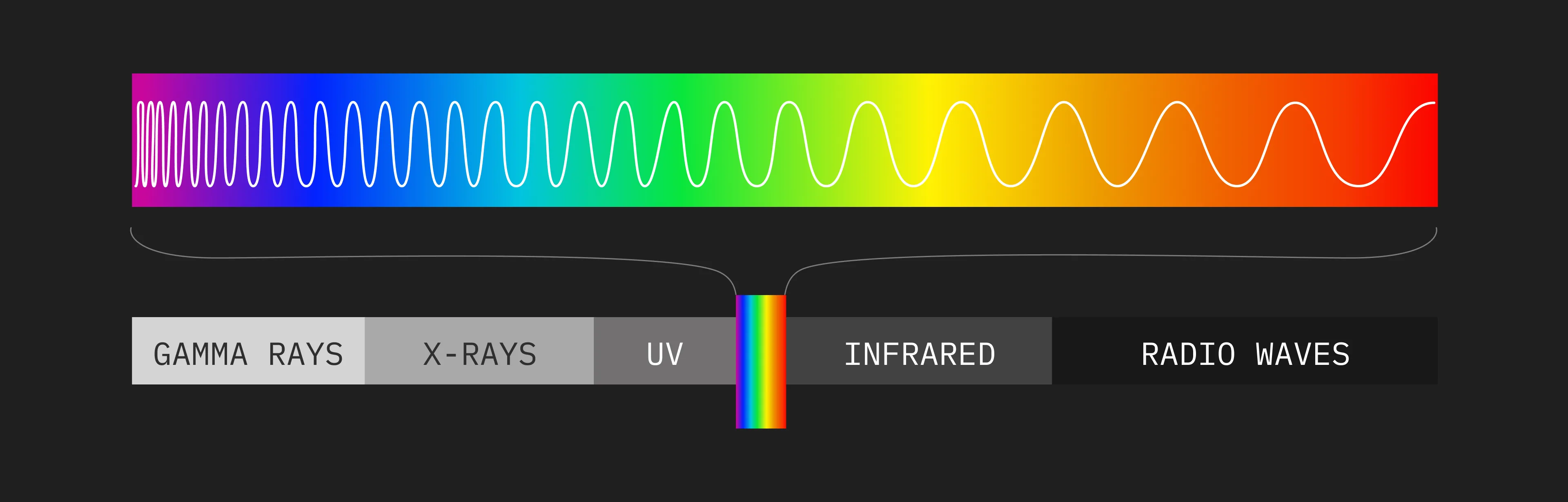 Wavelengths and the visible-to-human light spectrum